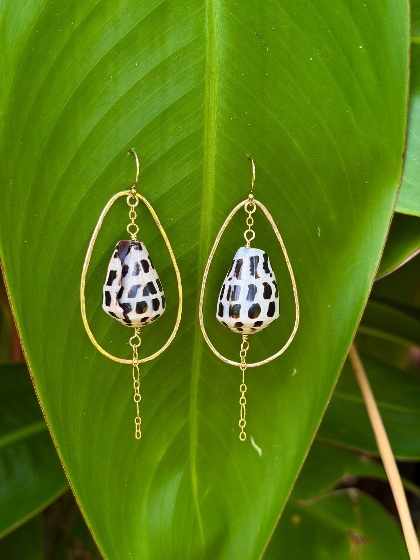 Pūpūʻala Halo Earrings