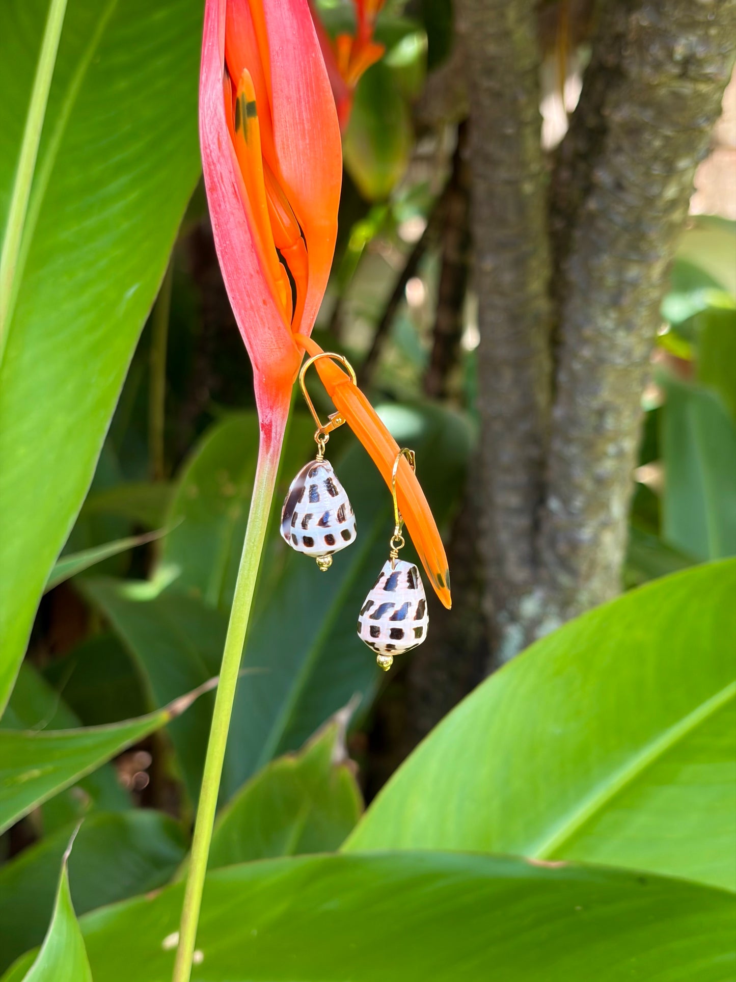 Pūpūʻala Earrings
